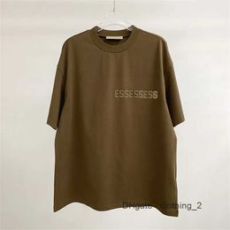 Essentialsweatshirts Ess FOG 1977 Sweatshirts Mens Womens Pullover Hip Hop Oversized Jumpers O-Neck 3D Letters Essentialshoodie Top Quality Size S-XL 060Z