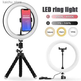 Continuous Lighting 10 inch LED selfie ring light USB dimmable photography light Studio mobile remote control fill light YouTube TikTok video live broadcast Y24041