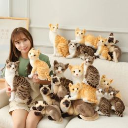 25cm Real-life Cute Plush Cat Doll Soft Stuffed Animal Plush Kitten Toys for Children Cartoon Kids Girl Baby Birthday Gift