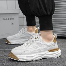 Casual Shoes 2024 Summer Fashionable Men's Sports Breathable Mesh Sneaks Korean Style Student Elevator Comfortable Men