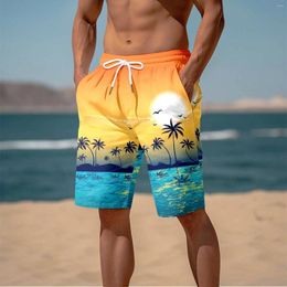 Men's Shorts Mens Beach Pants 3D Printed Seaside Coconut Tree Sunset Casual Swim For Men With Pockets