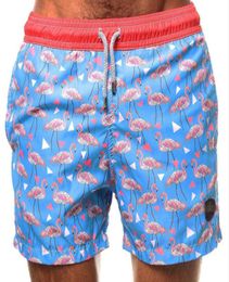 Brand New Mens Flamingo Print Board Shorts Male Loose Beach Short Quick Dry Fashion Men Casual Trunks Swimsuits Bermuda3465730