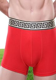 Underwear Soft Breathable Health Big Scrotum Men Underware Pouch Pack Shorts Clothes China Boxers Cheeky Cotton Solid AM556 5xl1433396