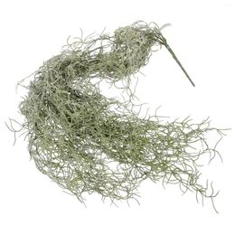 Decorative Flowers Terrarium Dried Moss Vine Landscaping Lichen Hanging Decor Preserved Micro-landscape