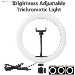 Continuous Lighting 10 inch selfie ring light photography fill light LED ring light used for video recording and live streaming selfie LED light Y24CJP7