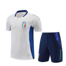 2024 2025 Italy Tracksuit Camisetas de football jersey short sleeves training suit 23 24 25 Italy chandal futbol survetement italia sportswear 4e7