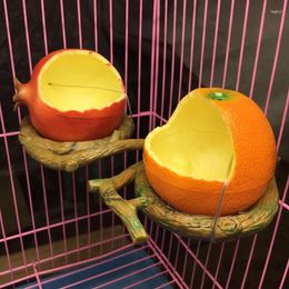 Other Bird Supplies Funny Fruit Shape Parrot Feeder Orange Pomegranate Food Water Feeding Bowl Container Feeders 1Pc For Crates Cages Coop