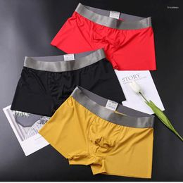 Underpants Men Boxers Sexy Underwear Silky Transparent Boxer Shorts Gay Penis Pouch Sleep Bottoms Pijama Hombre