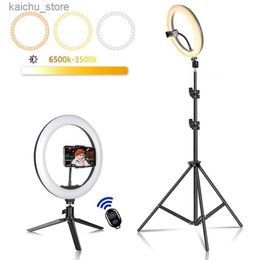 Continuous Lighting 2633cm LED selfie ring light with dimmable photo filling light equipped with 50cm tripod and remote control suitable for YouTube TikTok video li