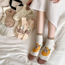 Women Socks Cotton Capybara Sweet Japanese Cartoon Casual Hosiery Coffee Soft Mid-tube Female