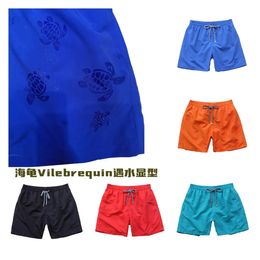 Top Quality Mens Magic Swimwear Colour Change Embroidered Turtle Water Reactive Board Shorts Beach Surf Swim Mesh Trunks y240409