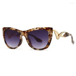 Sunglasses Brand Designer Punk Cat Eye Women For Men 2024 Sun Glasses Vintage Luxury Shades Big Frame Metal Leg Eyeglass