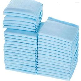 Dog Apparel Disposable Small Absorb Water Absorbent Toilet Training Pets Mat Pee Pads Diapers