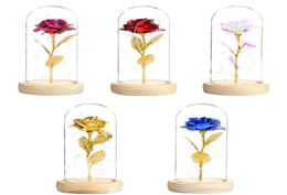 A beleza e a besta se levantaram no frasco Led Rose Flower Light Base Base Glass Dome para Mother039s Dia do Dia dos Namorados Presente2101552