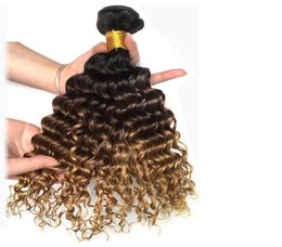 3 Tone 1B427 Deep Curly Dark Brown Blonde Human Hair Weave Bundles Whole Colored Brazilian Ombre Human Hair Extension Deals4678041