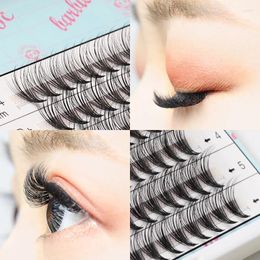 False Eyelashes Lucky Lash Premade Fans Pointy Base 10D/20D/30D/40D Russia Volume Eyelash Extension Individual Lashes Faux Mink