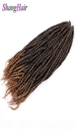 Synthetic Preed Bomb Spring Hair 24 inch Passion s Crochet Hair 100g pc Synthetic Braiding Hair Extensions Passio4865150