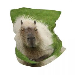 Bandanas Animal Pet Capybaras Bandana Neck Gaiter Windproof Face Scarf Cover Women Men Headwear Tube Balaclava