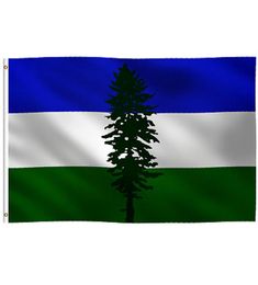 3X5FT Flag of Cascadia High Quality Hanging Advertising Digital Printed Polyester For Festival Club Sports Indoor Outdoor 6383147