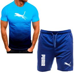 Sportset Set Men's Summer Thin Quick Torking Running Kort ärm T-shirt Tvådelad avslappnad herrkläder