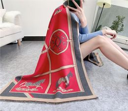 Luxury designer 2020 Winter Cashmere Scarf Lady Design Warm Pashmina Blanket Carriage Scarves Women Shawl Female Decoration Thick 7544709