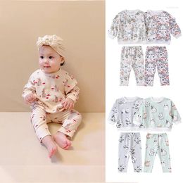 Clothing Sets Baby Spring Autumn Long Sleeve Hoodie Suit Boys Girls Clothes Crewneck Tops Pants 2PCS