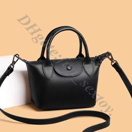 Retail Wholesale Dumpling Purses Crossbody Store Bags 95% Off Handbag Designer Purse French Lambskin Cross Wing Saccoche Bag Lamb Skin Mini Handbags 5GIU