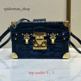 Lvse Bag Chain Box Bag Braided Topquality Bag Mini New Handle Hard Trunk Box Bag Handbag Women Fashion Tote Bag Designer Bag Cosmetic Case Top Mirror 66641 744