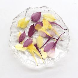 Decorative Flowers 60pcs Pressed Dried Aquilegia Viridiflora Pall Petal Flower Resin Epoxy Jewelry Card Bookmark Frame Phone Case Makeup