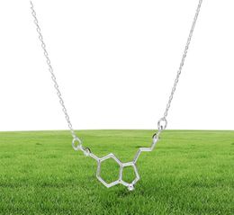 1 chemical molecular structure pendant necklace formula 5HT geometric exquisite nurse simple Lucky woman mother men039s family2293406