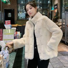 Women's Fur 2024 Long Sleeve Faux Mink Coat Autumn Winter Thicken Loose Korean Vintage Fashion Female Style Stand Collar C103