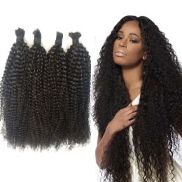 Bulks Afro Kinky Curly Bulk Hair 4 Bundles Natural Colour Brazilian Human Braiding Hair Bulk No Weft 828 inch FDSHINE