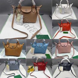 Retail Wholesale Dumpling Purses Crossbody Store Bags 95% Off Handbag Designer Purse French Lambskin Cross Wing Saccoche Bag Lamb Skin Mini Handbags UHWB