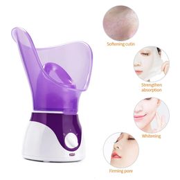 Facial Steamer Ionic Mist Facial Heating Sprayer Skin Moisturising Pore Cleaner SPA Humidifier Atomizer Home Skin Care Tool 240419