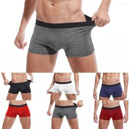 Underpants 4pcs/lot Cotton Boxers Men Solid Colour Panties Elastic Waistband Low Rise For Boxeres Shorts