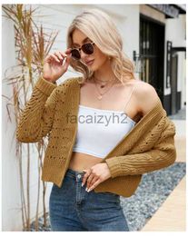 Women's Sweaters Autumn and winter short top with long sleeves over a sweater, temperament versatile, solid Colour hollow sweater cardigan Plus Size T Shirt tops