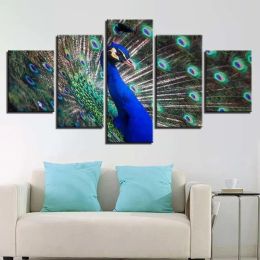 5 Panel Amazing Peacock Dance Wall Picture Canvas Painting Blue Peacock Posters and Prints for Living Room Home Decor Unframed
