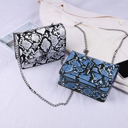 Shoulder Bags Spring And Summer 2024 Fashion Street Mini Crossbody Snake Six Colour Small Square Bag Straddle Messenger