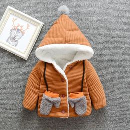 Down Coat BOY'S Quilted Cotton 2024 Winter Style Children Solid Colour Plus Thick Gloves Hooded Jacket
