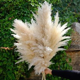 5pcs 80cm Pampas Grass Large Decorative Dried Flowers Natural Living Room Decoration Fluffy Home Decor Bouquet For Wedding Party 240419