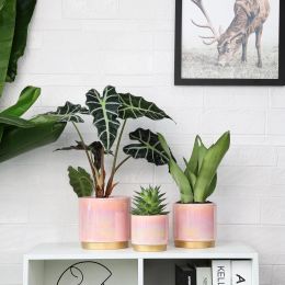 Pots Pink Indoor Plant Pots for Plants, Ceramic Planter with Drainage Hole, 6 inch+ 5 Inch+ 4 Inch. Succulent Orchid Flower Pot