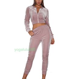 2024 Autumn Women Tracksuits Two Piece Velour Gym Outfit Long Sleeve Crop+Pant Velvet Set for Woman Sport Suit