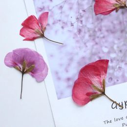 Decorative Flowers 4-5cm/24PCS True Geranium Flower Petal Pressed DIY Hand Stickers Glue Drops Phone Case Bookmark Gift Card Flores Material