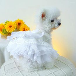 Dog Apparel Dress With Bows Pearls Elegant Lace Pet Wedding For Small Medium Dogs Princess Pearl Bow Design