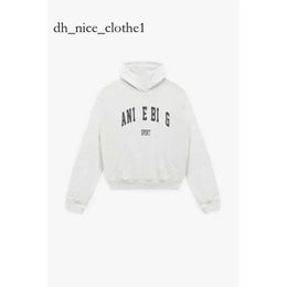 Annies Bing Hoodie Designer Sweatshirts Black Aninebing Hoodie Sport Classic Letter Cotton Pullover Jumper Casual Ab Hoodie Women Anine Bung Hoodie Anine 928