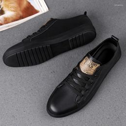 Casual Shoes Men's Breathable Loafers Outdoor Walking Fashion Sneakers Lace Up Board Comfortable Flat