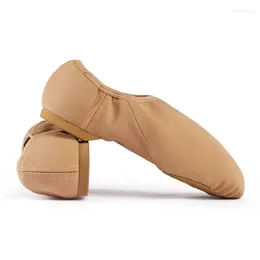 Dance Shoes 2024 Soft Soled Elastic Cloth Plus Size Stretch Soles Jazz Kids Girl Classical Training Women