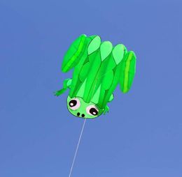 New High Quality 3D Single Line Software Frogs Kites Sports Beach With Kite Handle and String Easy to Fly9670673