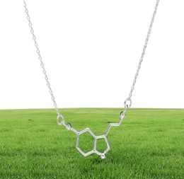 1 chemical molecular structure pendant necklace formula 5HT geometric exquisite nurse simple Lucky woman mother men039s family8743843