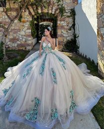 Crystal Princess Quinceanera Dresses with Long Sleeve 3D Floral Applique Boning Corset vestidos de xv anos Sweet 15 Gown